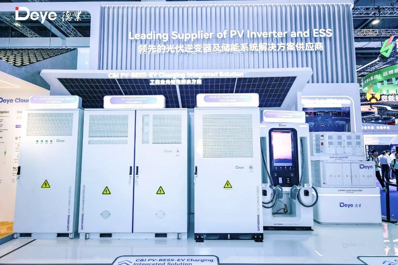 17806206927079825P9T.jpg 微信圖片_2026-06-05_083848_022.jpg